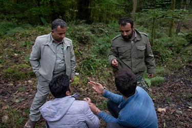 دستگیری حفاران و متجاوزان « جنگل های هیرکانی »