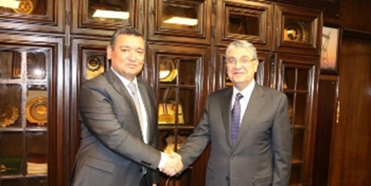 عزم تاجیکستان و مصر برای توسعه روابط دوجانبه در زمینه انرژی