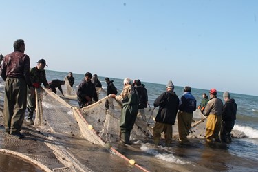 صید ماهی در سواحل زیباکنار گیلان