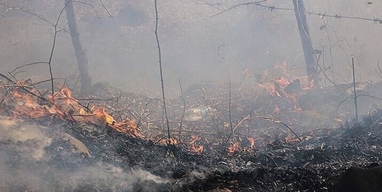 آتش‌سوزی گسترده باعث خسارت به منابع طبیعی پلدختر شد