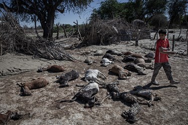 خسارت سیل در روستاهای بخش زر آباد سیستان و بلوچستان
