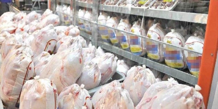 650 تن مرغ منجمد در ایلام ذخیره سازی شد/ کمبود واکسن طیور در استان
