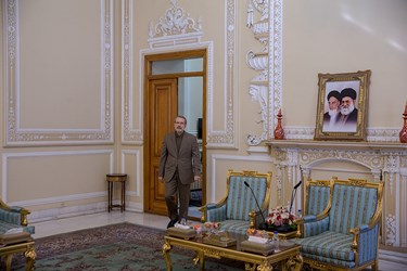 دیدار «وزیر خارجه اتریش» با  لاریجانی