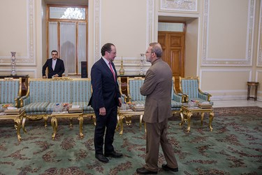 دیدار «وزیر خارجه اتریش» با  لاریجانی