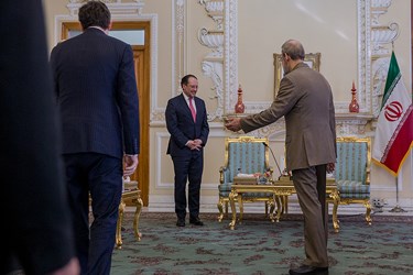 دیدار «وزیر خارجه اتریش» با  لاریجانی