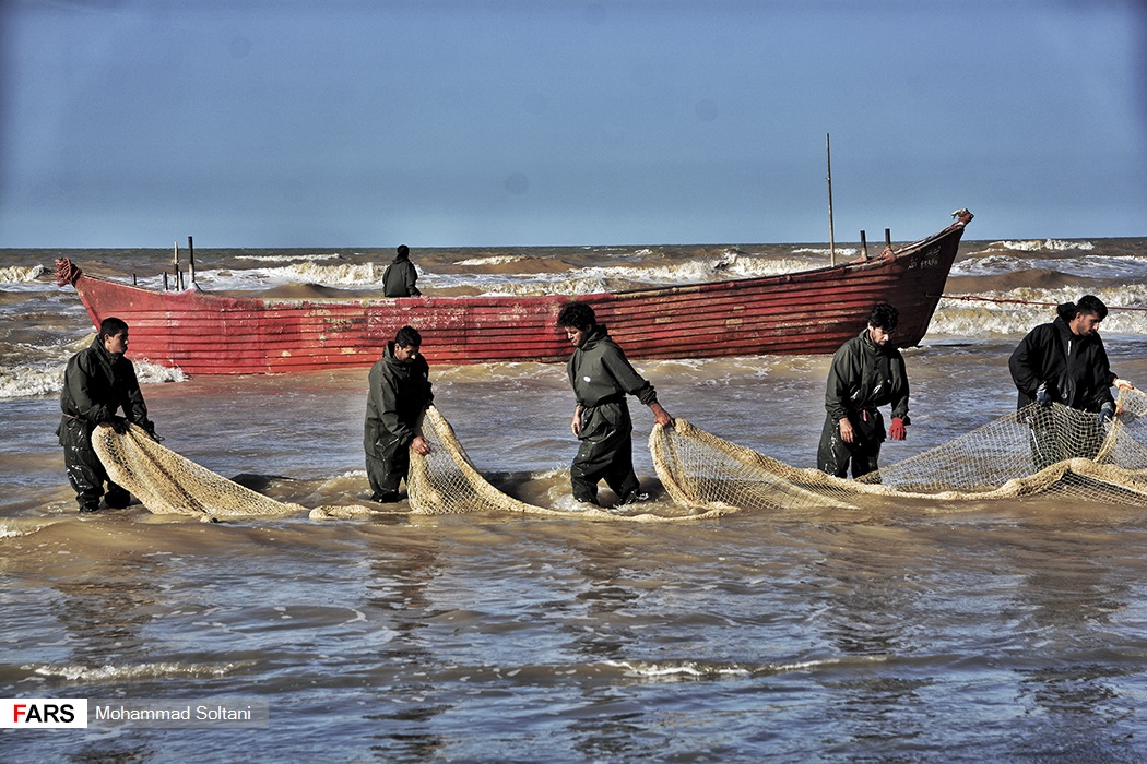 استخواني