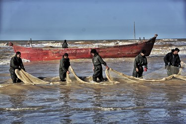 استخواني