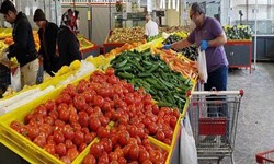 آغاز عملیات احداث ۴ میدان میوه و تره‌بار در ۲ منطقه تهران