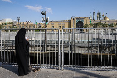 ويروس،ادامه