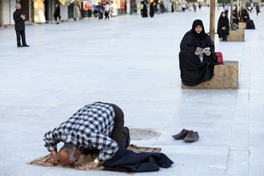 ويروس،ادامه