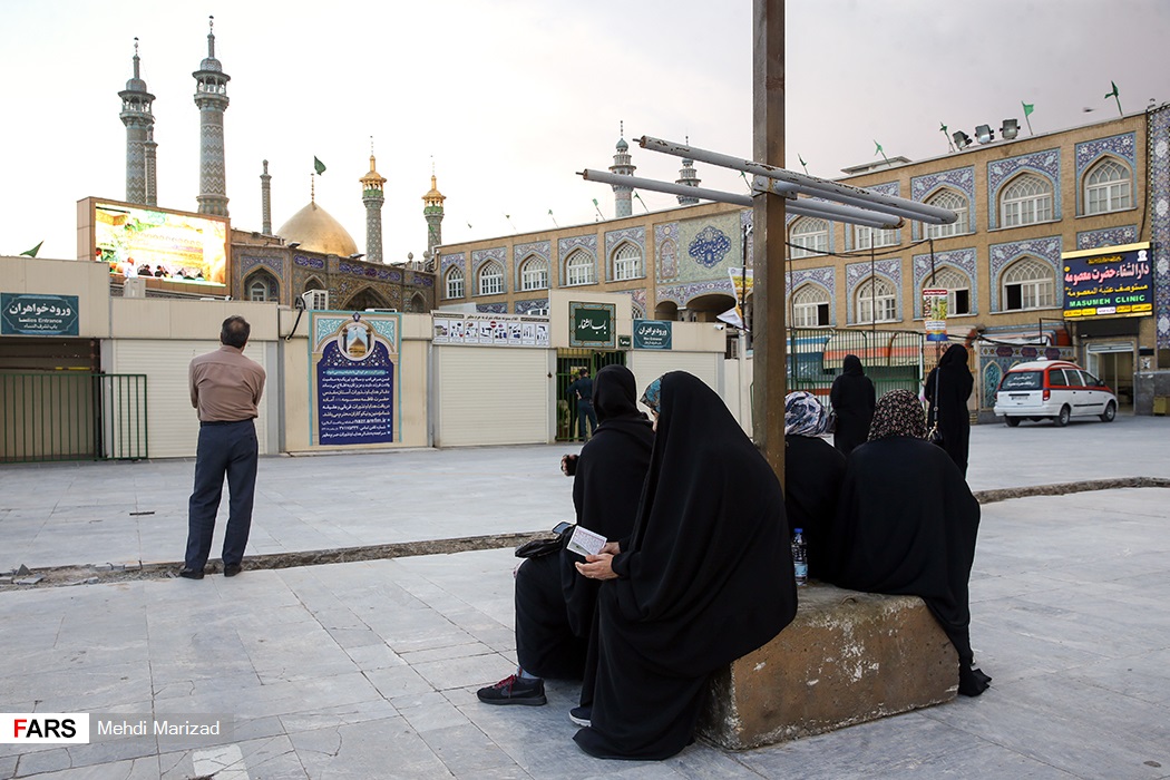 ويروس،ادامه