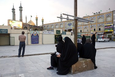 ويروس،ادامه