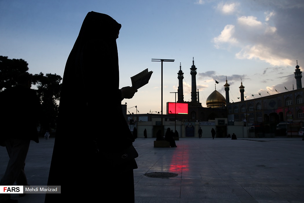 ويروس،ادامه