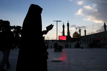 ويروس،ادامه