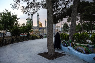 ويروس،ادامه