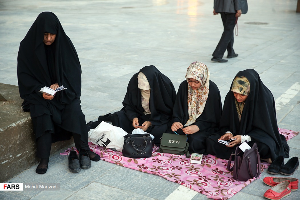 ويروس،ادامه