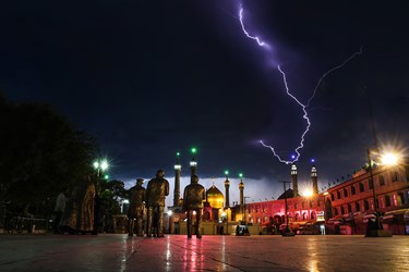 ويروس،ادامه