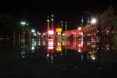 ويروس،ادامه