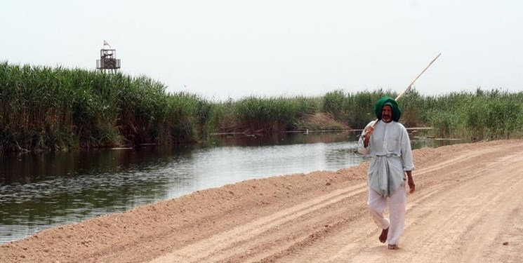 80 درصد حجم تالاب‌های خوزستان آبگیری شده است
