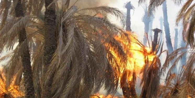 خسارت ۲۰ میلیاردی آتش‌سوزی باغات «سرنی» میناب