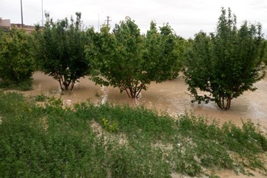 جاری شدن سیل در ابرکوه پس از 24 ساعت بارندگی