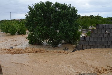 جاری شدن سیل در ابرکوه پس از 24 ساعت بارندگی