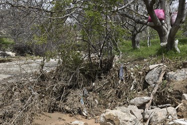 سیلاب در روستای «دیزایر» قوچان