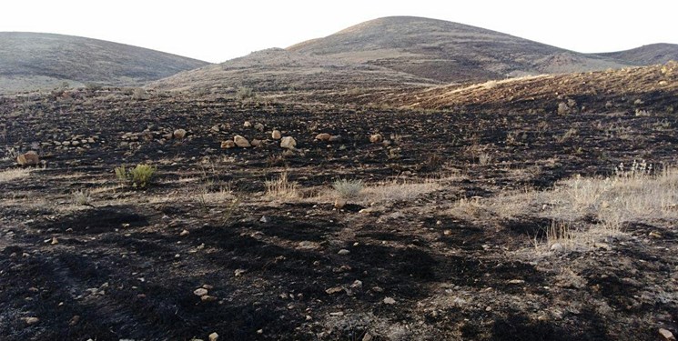 آتش‌ مراتع مناطق مختلف پردیس را سوزاند