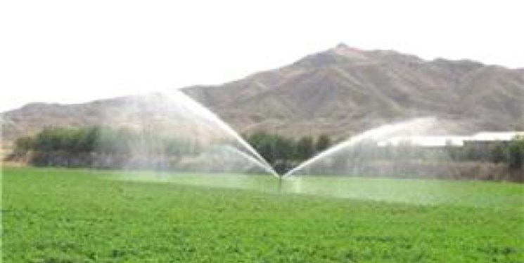 اجرای ۲۹ هزار هکتار سامانه نوین آبیاری در اراضی کشاورزی قزوین