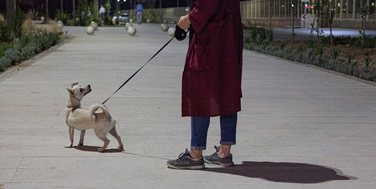 جولان سگ‌ها در پارک های تهران در روزهای کرونایی/ مدیران شهری: فقط می توانیم تذکر دهیم