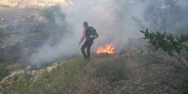شعله‌های آتش همچنان بر دامن جنگل دلی کوخدان+تصویر و فیلم