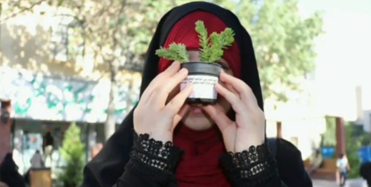 روایت حرکت خودجوش بچه‌مسلمان‌ها/ اینجا حجاب با گل و هدیه ترویج می‌شود+ فیلم و عکس