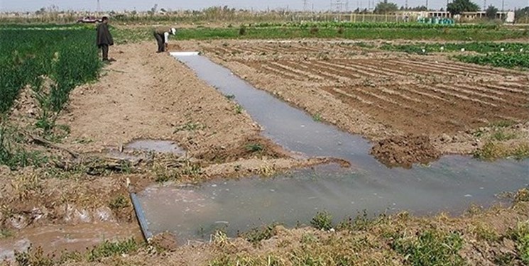 آب در 77 درصد اراضی کشاورزی خراسان رضوی همچنان هدر می‌رود