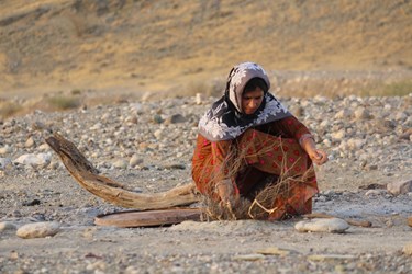 عکس| «پاتل گورگداری» در یک نگاه