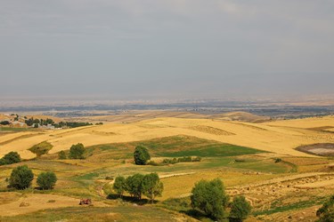 مزارع گندم روستای قره تپه در بخش دهستان سردابه استان اردبیل
