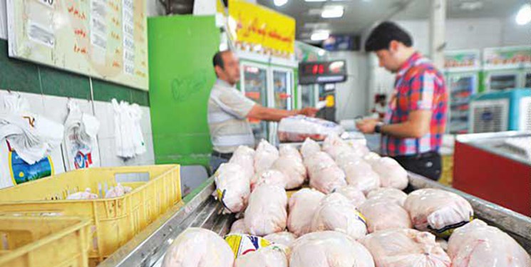 دلایل افزایش قیمت مرغ در هفته‌های اخیر/ انحصار، نهاده مرغ‌ها را بلعید!