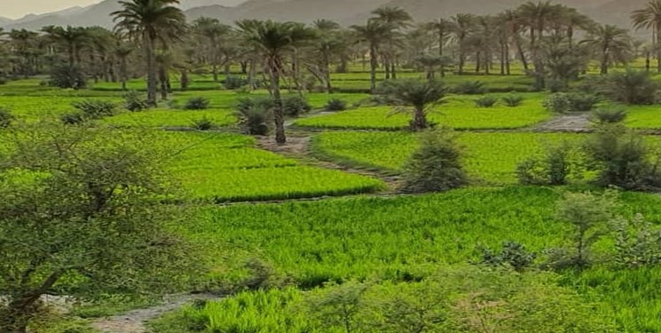 احداث واحد بومگردی در روستای ملی تنگه سرحه