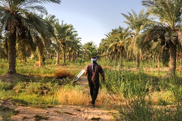 شهرستان شادگان، یکی از شهرستانهای استان خوزستان و در 70 کیلومتری اهواز است .  