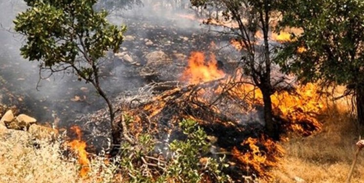 آتش‌سوزی در پارک ملی دز مهار شد