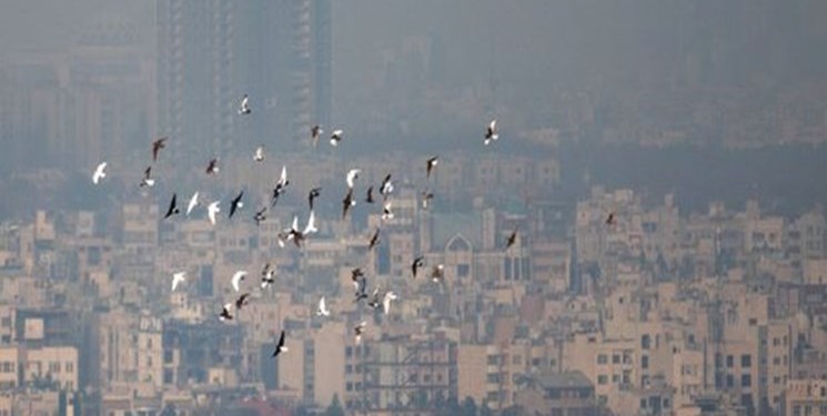 هشدار دادستان اصفهان به دستگاه‌های منفعل در مقابله با آلودگی هوا