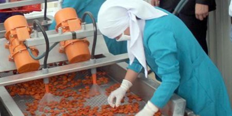افزایش صادرات محصولات کشاورزی تاجیکستان در دوران کرونا