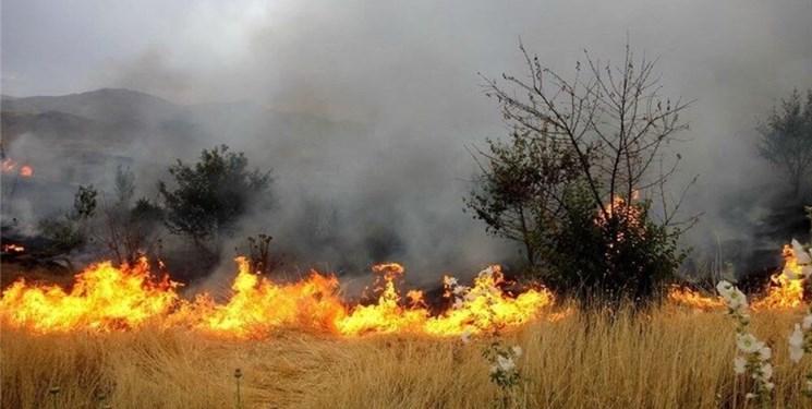 دادستان باوی دستور توقف سوزاندن مزارع را صادر کرد