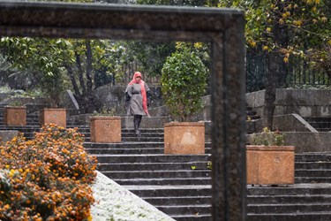 بارش برف پاییزی در شمال تهران - بوستان نیاوران