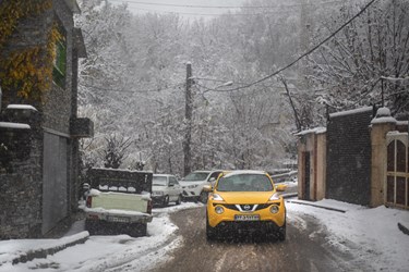 بارش برف پاییزی در شمال تهران - بوستان جمشیدیه