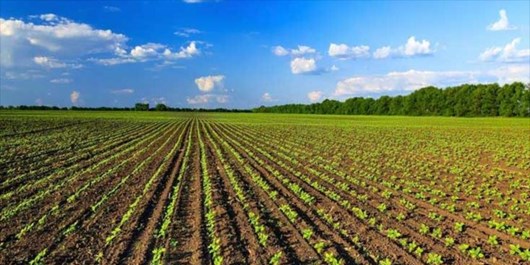 نخستین سند اراضی کشاورزی در استان سمنان صادر شد