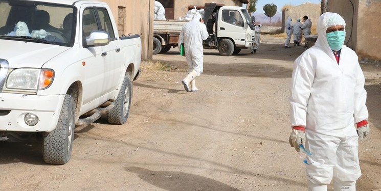 ۳ کانون آنفلوآنزای فوق حاد پرندگان در خراسان‌جنوبی مهار شد