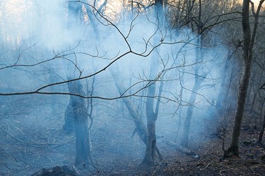 دود ناشي از سوختن درختان در جنگل موسوم به «اشكته چال»