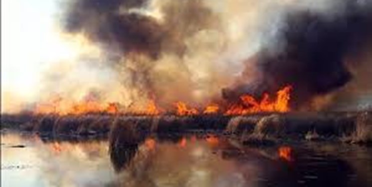 «زریوار» مریوان دستخوش بی‌تدبیری/آتش‌سوزی در 170 هکتار از نیزارهای زریوار