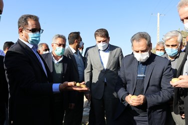 سفر وزیر جهاد کشاورزی به جنوب کرمان