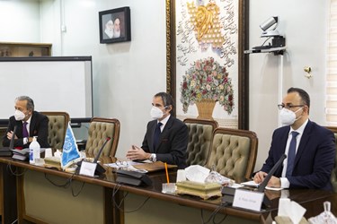 رافائل گروسی مدیرکل آژانس بین‌المللی انرژی اتمی در دیدار با علی اکبر صالحی رئیس سازمان انرژی اتمی